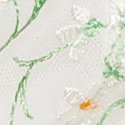 Белые ромашки (White Daisies)