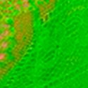 Жасминовый зелёный (Jasmine Green)