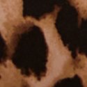 Леопардовый (Leopard)