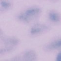 Леопардовый принт в лиловых тонах (Tinted Lilac Leopard)