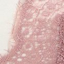 Бледная мальвовая (Pale Mauve)