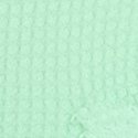Весенняя мята (Spring Mint)