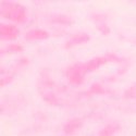 Розовый леопард (Pink Leopard)