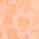 Солнечный абрикос (Sunlit Apricot)