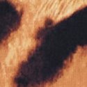 Леопардовый (Leopard)