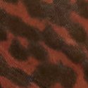 Гепард (Cheetah)