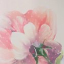 Распускающиеся розы (Growing Roses)