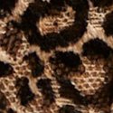 Леопардовый (Leopard)