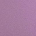 Очаровательная лиловая (Alluring Lilac)