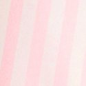 Hawaii Stripes