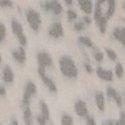 Облачно-серый леопард (Cloudy Grey Leopard)