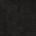 Чистый чёрный (Pure Black)