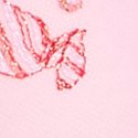 Minty Mischief Cocount Pink