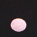 Black & Pink Dot Print