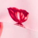 Angel Pink Candies