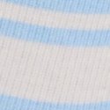 Periwinkle Stripes Print