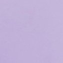 Звёздная лиловая (Star Lilac)