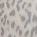Cloudy Grey Leopard