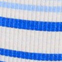 Periwinkle Stripes Print
