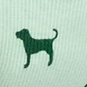 Pretty Mint Dog Print