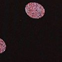 Black with Pink Dot Print