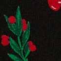 Black Mistletoe